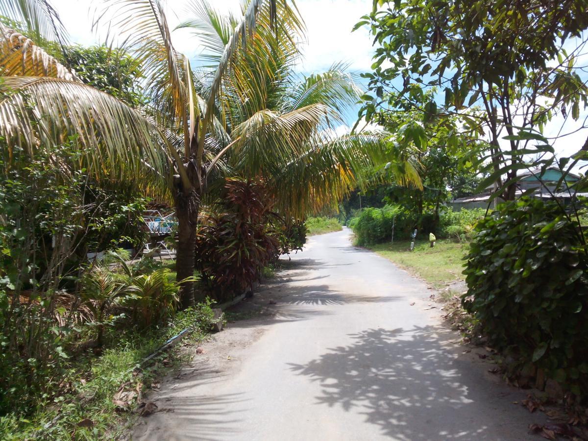 Pandan Beach Homestay Kampong Pandan Экстерьер фото
