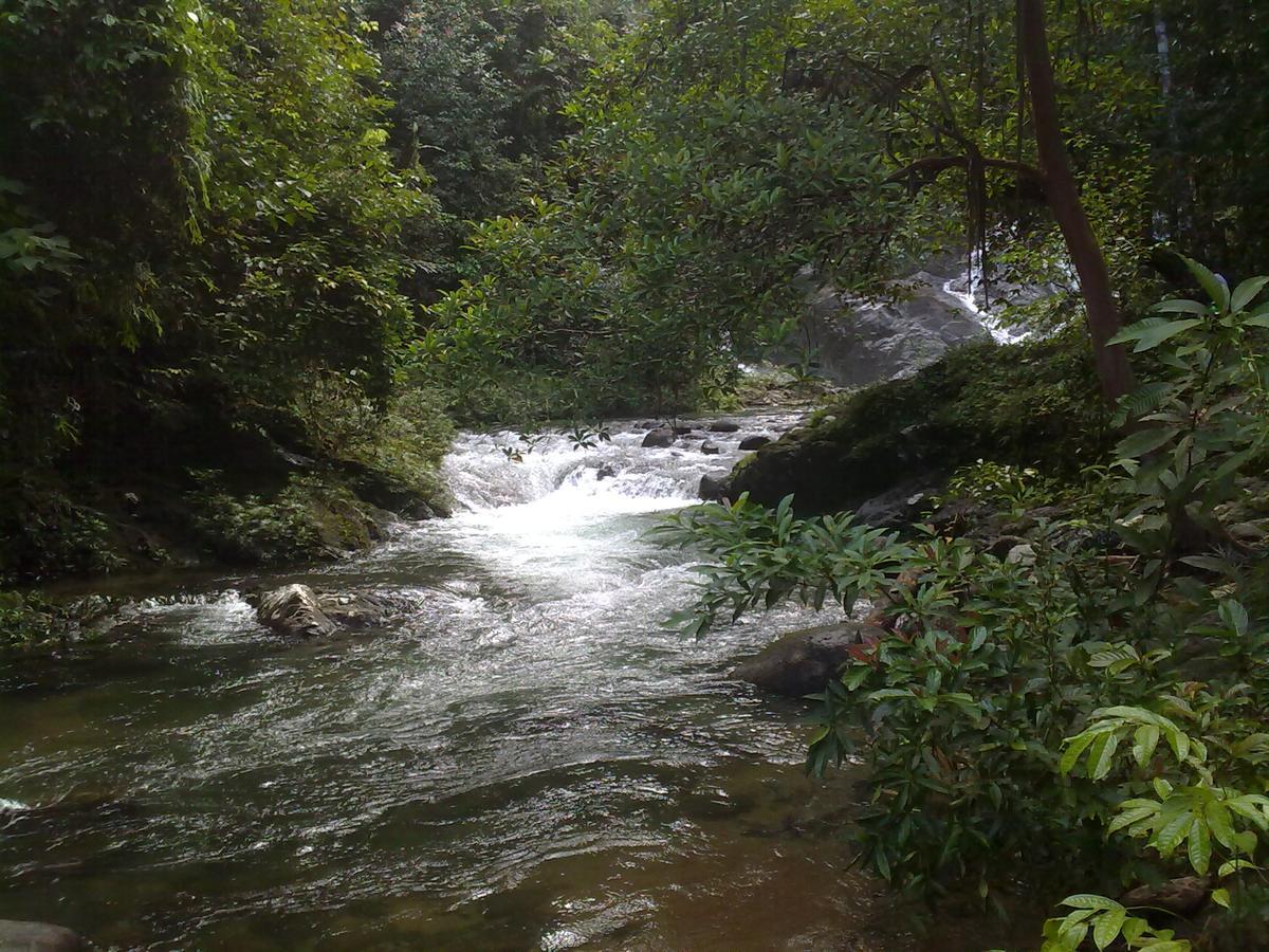 Pandan Beach Homestay Kampong Pandan Экстерьер фото